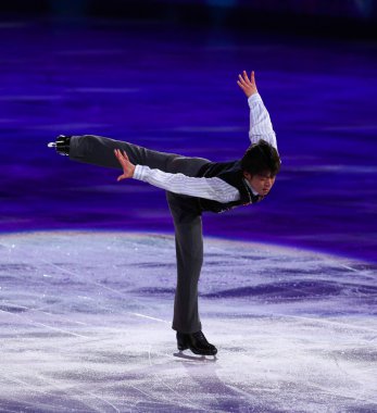 Artistik Patinaj sergi gala