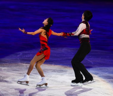 Artistik Patinaj sergi gala