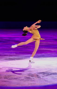 Artistik Patinaj sergi gala