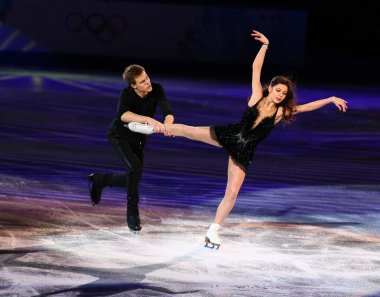 Artistik Patinaj sergi gala