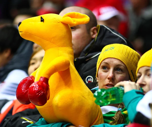 Two-man bobsleigh heat — Stock Photo, Image