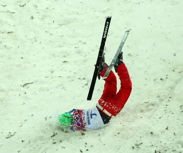 Sci freestyle. Finale Aerials maschile — Foto Stock