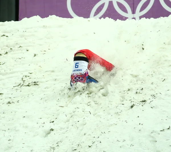 Freestyle Skiing. Men's Aerials Final — Stock Photo, Image