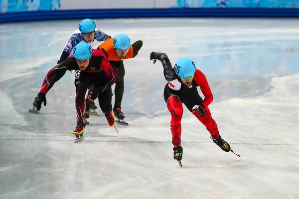 男子 500 米短道速滑预赛 — 图库照片