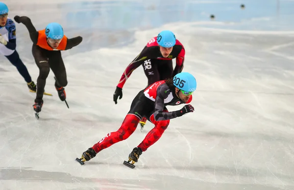 男子 500 米短道速滑预赛 — 图库照片