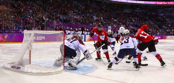 buz hokeyi. kadınların altın madalya oyunu