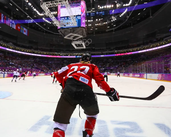 buz hokeyi. kadınların altın madalya oyunu