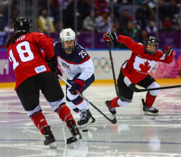 Hockey sobre hielo. Medalla de Oro Femenino Juego —  Fotos de Stock