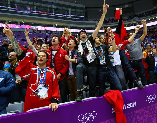 buz hokeyi. kadınların altın madalya oyunu