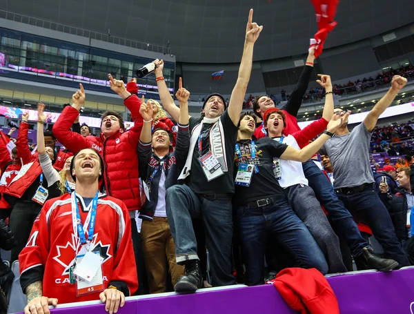 buz hokeyi. kadınların altın madalya oyunu