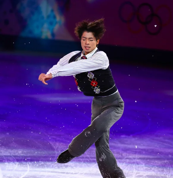 Figure Skating Exhibition Gala — Stock Photo, Image