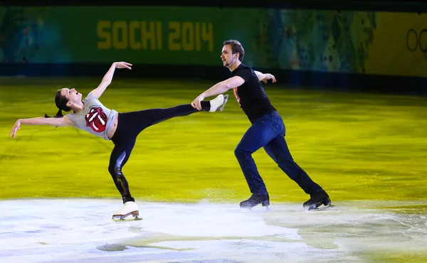 Artistik Patinaj sergi gala — Stok fotoğraf