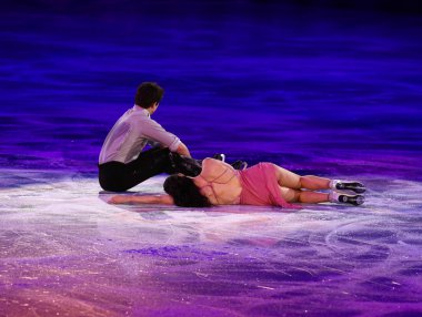 Artistik Patinaj sergi gala