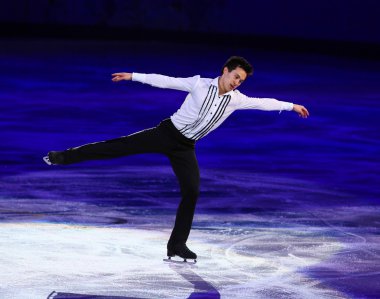Artistik Patinaj sergi gala