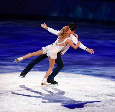 Artistik Patinaj sergi gala