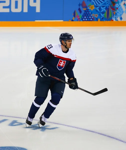 Hockey sobre hielo. Clasificaciones para los play-offs masculinos —  Fotos de Stock