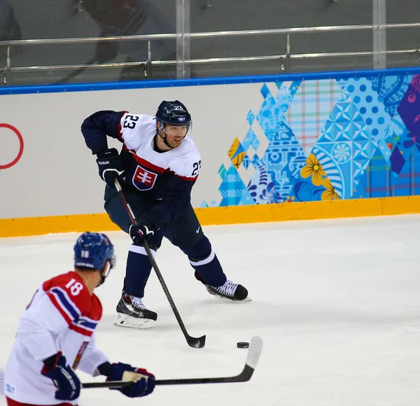 Ishockey. Kvalifikationer til mænds play-offs - Stock-foto