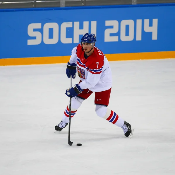 Hockey sobre hielo. Clasificaciones para los play-offs masculinos — Foto de Stock