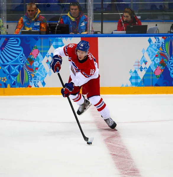 Hockey sobre hielo. Clasificaciones para los play-offs masculinos — Foto de Stock