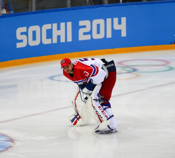 Hockey su ghiaccio. Qualifiche dei play-off maschili — Foto Stock