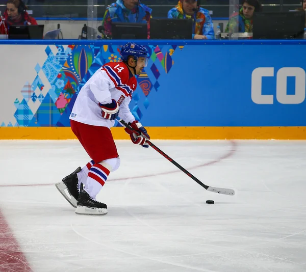 Hockey sur glace. Qualifications pour les éliminatoires masculines — Photo