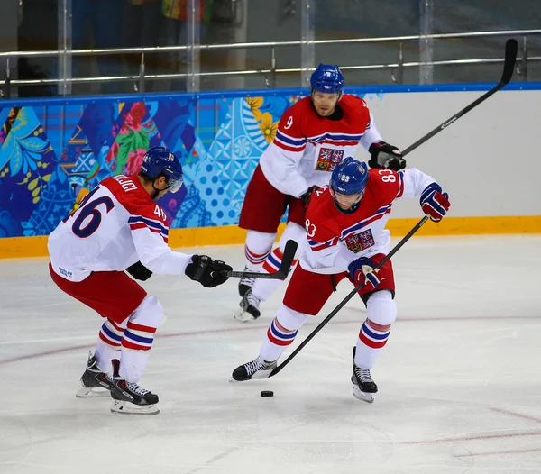 Ishockey. Kvalifikationer til mænds play-offs - Stock-foto