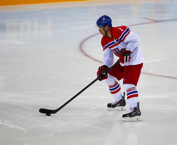 Hockey sobre hielo. Clasificaciones para los play-offs masculinos — Foto de Stock