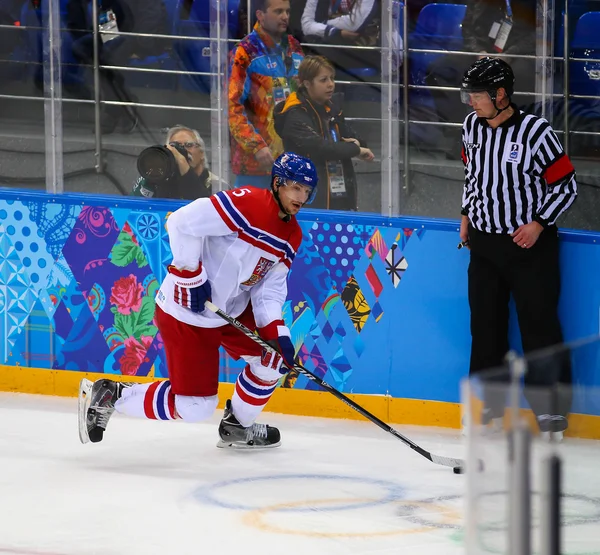 Hockey sobre hielo. Clasificaciones para los play-offs masculinos — Foto de Stock