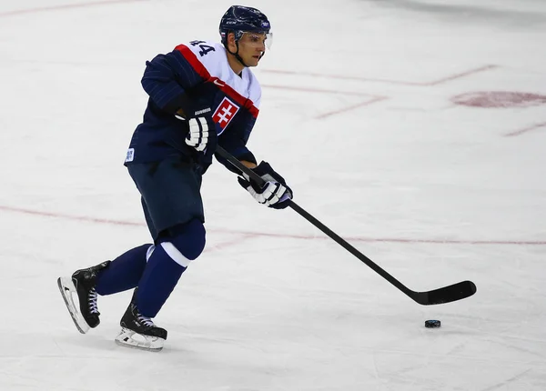 Hockey sur glace. Qualifications pour les éliminatoires masculines — Photo