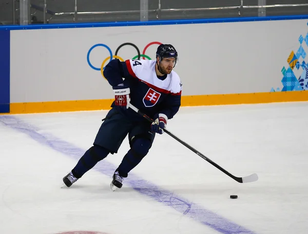 Hockey sur glace. Qualifications pour les éliminatoires masculines — Photo