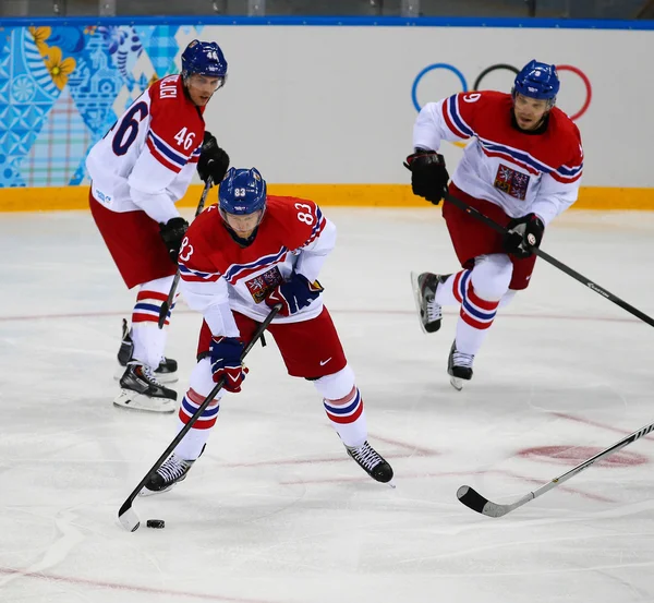 Eishockey. Play-off-Qualifikation der Herren — Stockfoto