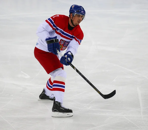 Ishockey. mäns play-off kvalifikationer — Stockfoto