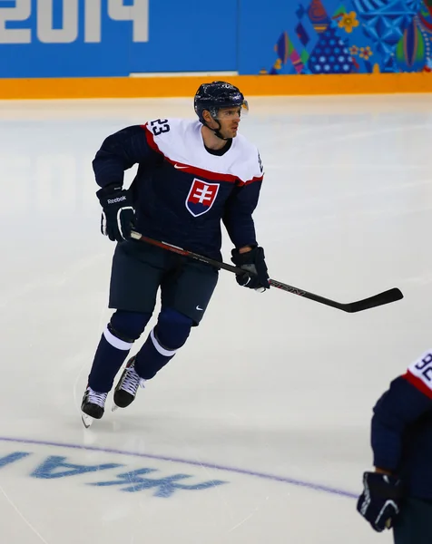 Ishockey. mäns play-off kvalifikationer — Stockfoto