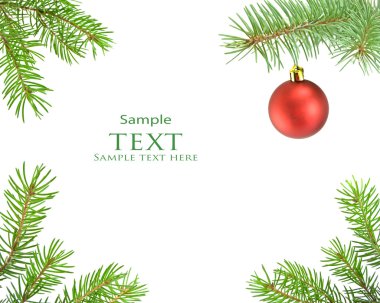 çam ağacı dalı ve Noel top