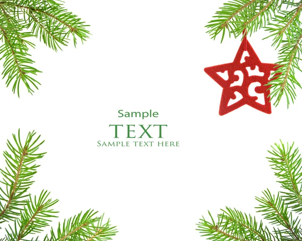 Pine tree branch and star christmas — Stock Photo, Image