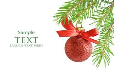 çam ağacı dalı ve Noel top