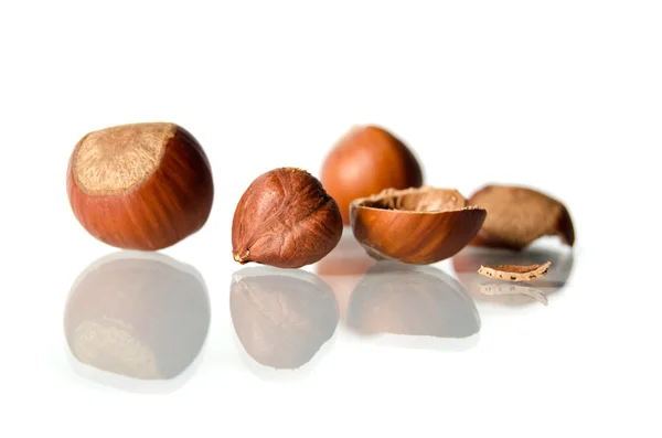 Three hazelnuts Isolated on white background — Stock Photo, Image
