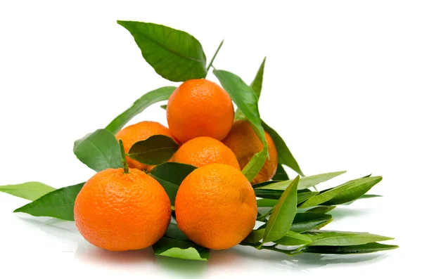 Tangerines on a branch with leaves — Stock Photo, Image