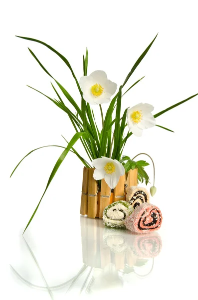 흰색 절연 바구니에 꽃 — 스톡 사진