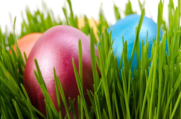 Huevos rojos de Pascua en hierba verde con fondo blanco —  Fotos de Stock