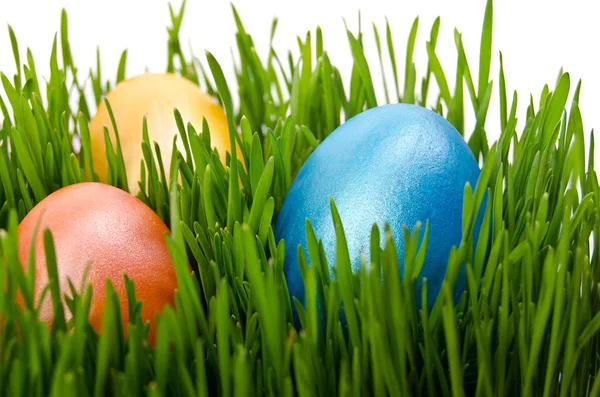 Kırmızı Paskalya yumurta beyaz arka plan ile yeşil çimen — Stok fotoğraf