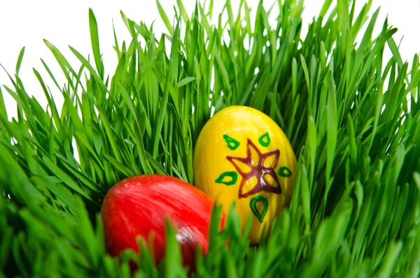 Huevos rojos de Pascua en hierba verde con fondo blanco —  Fotos de Stock