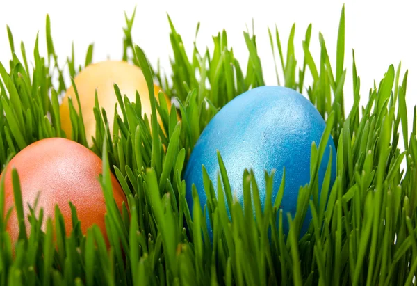 Červené velikonoční vejce v zelené trávě s bílým pozadím — Stock fotografie
