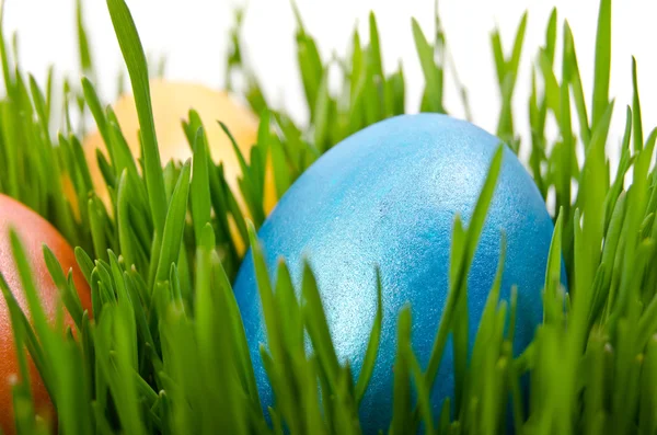 Huevos rojos de Pascua en hierba verde con fondo blanco —  Fotos de Stock