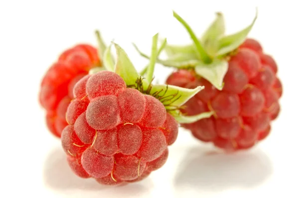 Framboises fraîches et mûres sur blanc — Photo