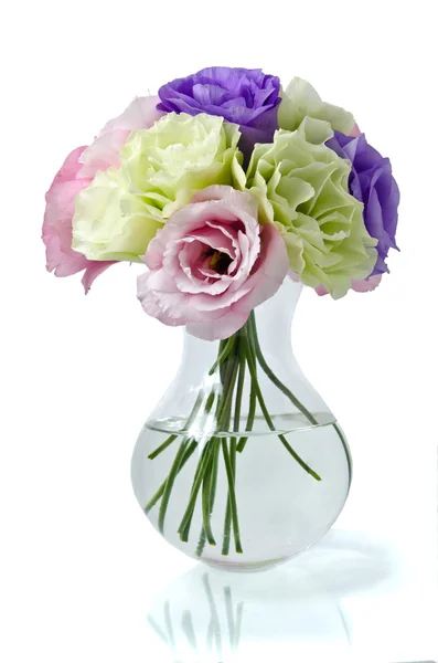 Eustoma flowers — Stock Photo, Image