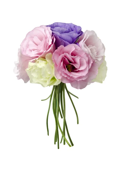 Eustoma flowers — Stock Photo, Image