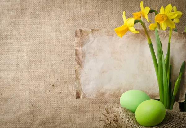 Easter eggs and daffodils — Stock Photo, Image