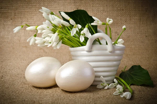 Easter eggs and snowdrops — Stock Photo, Image