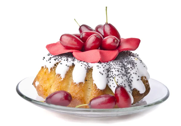 Cornel cake for the holidays — Stock Photo, Image